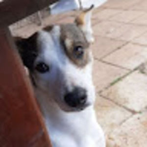 Meet your Posher, Magda